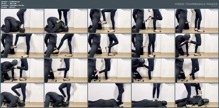 Your Dick Gets Hard When You Know That You Will Be Kneeling At My Disposal - GODDESS ELISA - MP4
