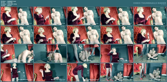 Leash Training My Slave - Goddess Kyaa Chimera - HARDBALLBUSTING - MP4