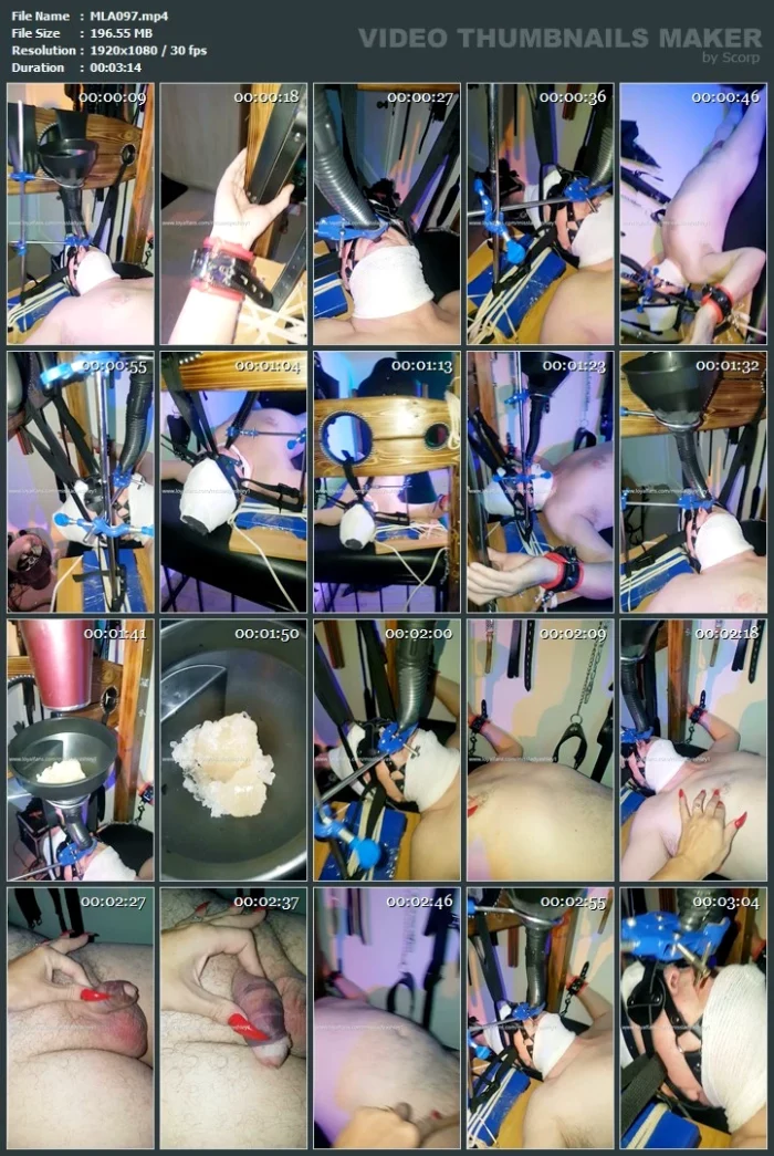 Mla The Diy Queen - MLA AKA MISS LADY ASHLEY - MP4