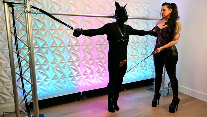 Femdom Gooning Slave Training To Fuck Mistress Edging Ruined Orgasm - MELODY CHEEKS - MP4