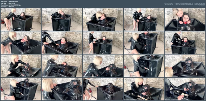 Rose In The Vaccube - MISTRESS LOTUS X - MP4