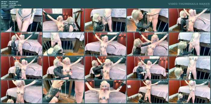 Slave Lilly - MISTRESS LOTUS X - MP4