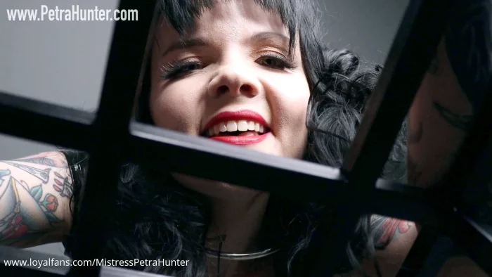 Teasing My Live-In Cuck - MISTRESS PETRA HUNTER - MP4