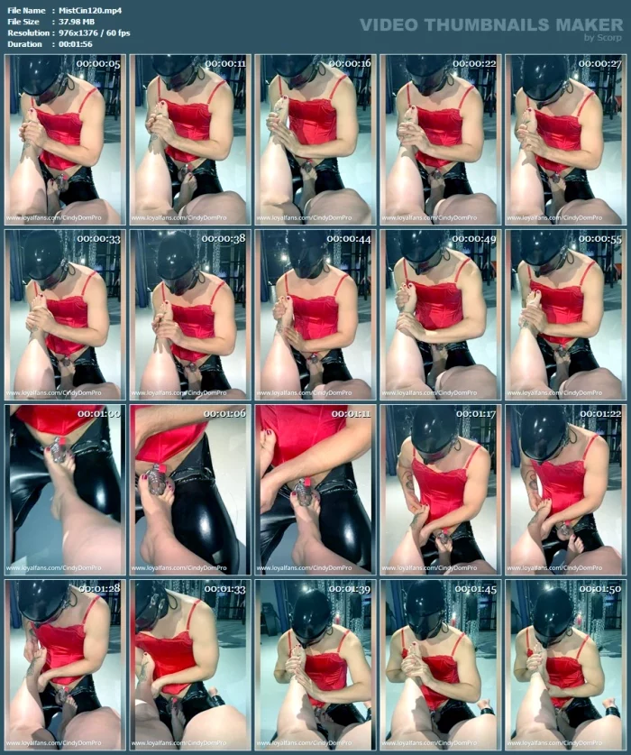 You Have To Work Well Despite Everything - MISTRESS CINDY - MP4
