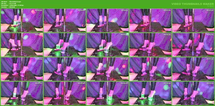 Latest Footage From Pussy Palace - PLEASE TREAD ON ME - MP4