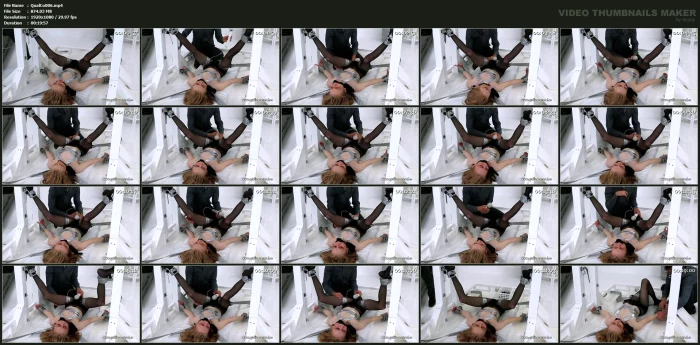 ALICE PAYNE - Controlled Chaos - QUALITYCONTROL / TEASEANDTHANKYOU - MP4