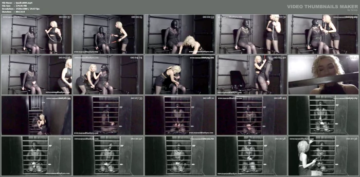 Allie Heart - Castor In Custody - QUALITYCONTROL / TEASEANDTHANKYOU - MP4