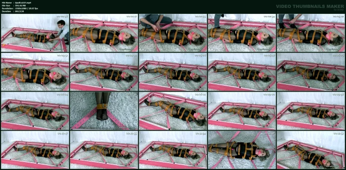 Lora Cross - Fell For The Trap - QUALITYCONTROL / TEASEANDTHANKYOU - MP4