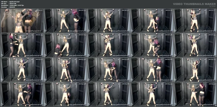 Aurora, Joy - Tickled Silly - QUALITYCONTROL / TEASEANDTHANKYOU - MP4