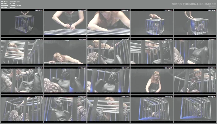 Amanda Bird In A Cage - S030 - SERIOUSIMAGES - MP4
