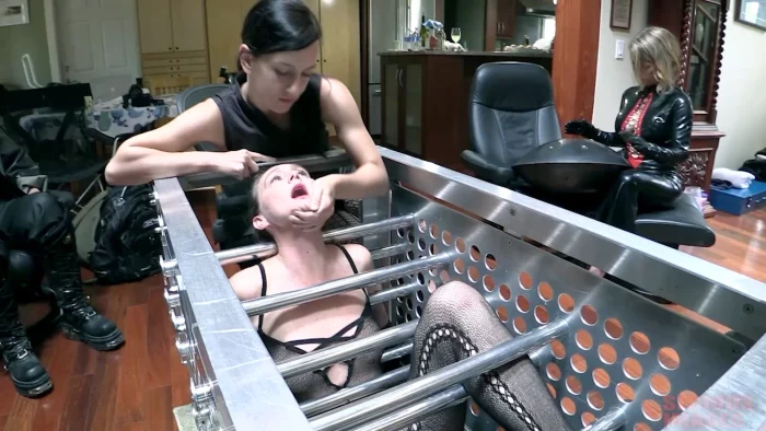Mysterious Gathering - T013 - SERIOUSIMAGES - MP4