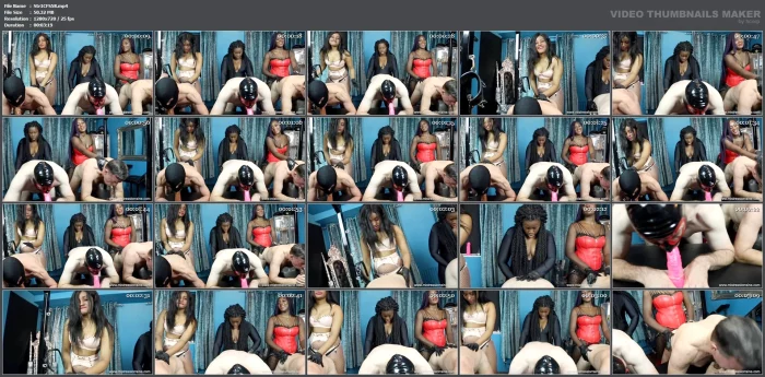 Mistress Strap On Competition - MISTRESS LORRAINES WORLD - MP4