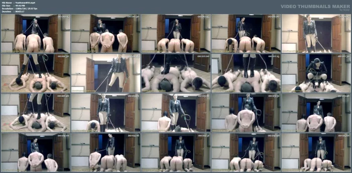 Display Of Dominance - YOUNG DOMMES - MP4