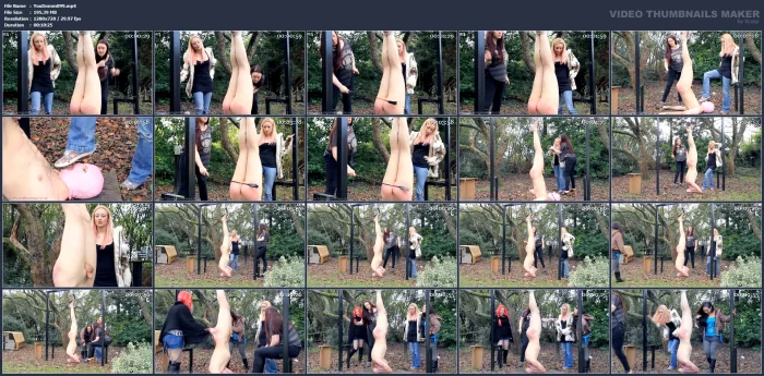 Hung Like Pork 2 - YOUNG DOMMES - MP4