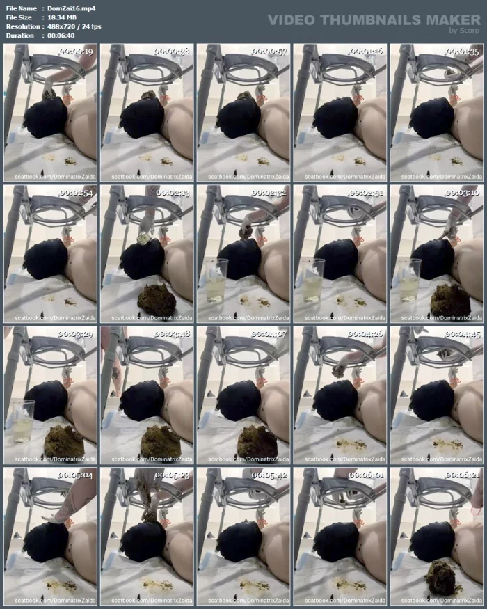 Feeding 2 - DOMINATRIX ZAIDA - MP4