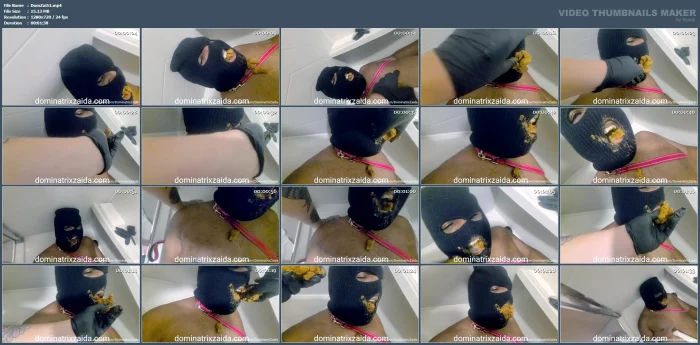 Such A Cute Little Toilet - DOMINATRIX ZAIDA - MP4