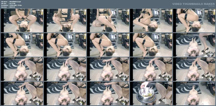 A Particular Mix - MISTRESS GAIA SCAT - MP4
