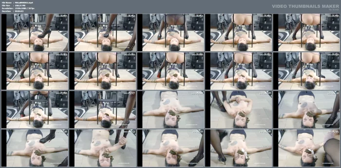 Hungry For My Shit - MISTRESS GAIA SCAT - MP4