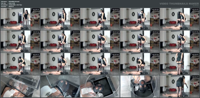 See Through Toilet - MISTRESS GAIA SCAT - MP4