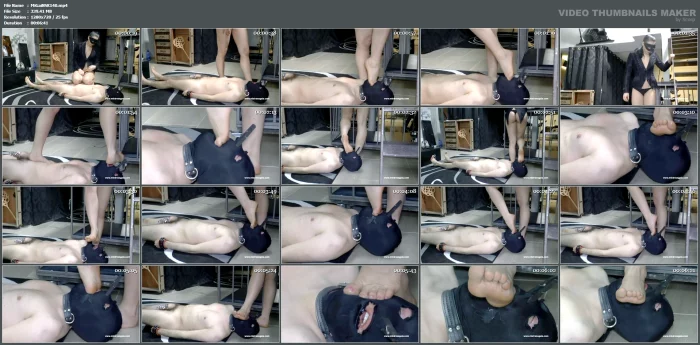 The Slave Has To Implore For Mercy - MISTRESS GAIA SCAT - MP4