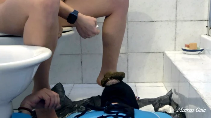 Why Dirty The Toilet - MISTRESS GAIA SCAT - MP4