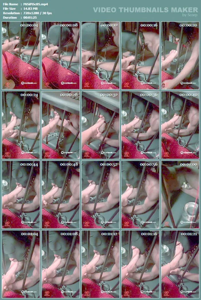 Always Welcome Back Slave - MISTRESS SINPIEDAD - MP4