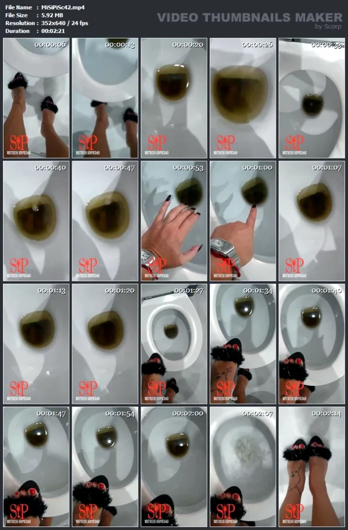 My Slave Eats And Drinks From My Wc - MISTRESS SINPIEDAD - MP4