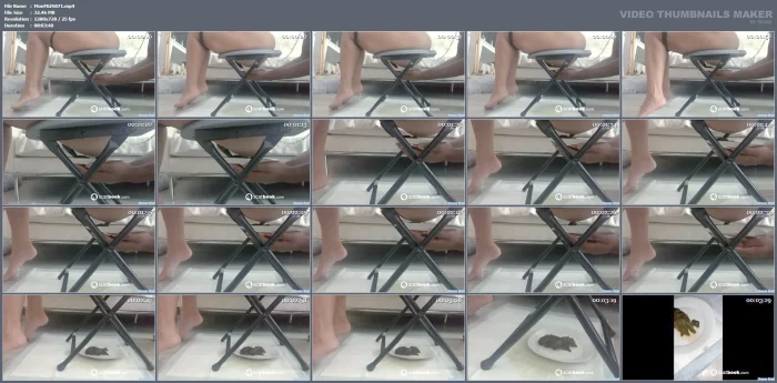 Preparing A New Poo Meal Assisted By My Scatophile Slut Impatient To Taste It - MONEYMISTRESS2S - DEESSE SONIA - MP4