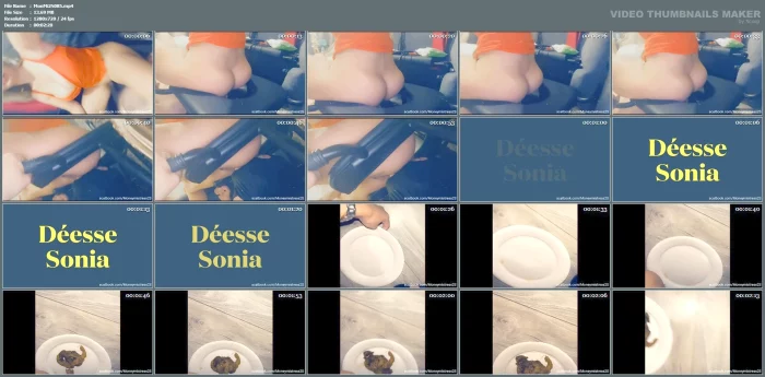 Tasting At The Source Of A Hearty Meal - MONEYMISTRESS2S - DEESSE SONIA - MP4