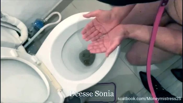 Want A Personalized Video To Live Out Your Fantasy And Jerk Off? - MONEYMISTRESS2S - DEESSE SONIA - MP4