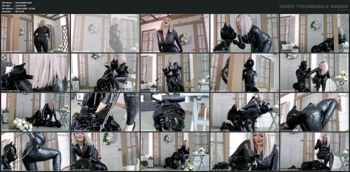 Positive Femdom - Latex Mistress And Rubber Puppy Roleplay, Arya Grander - ARYA GRANDER - MP4