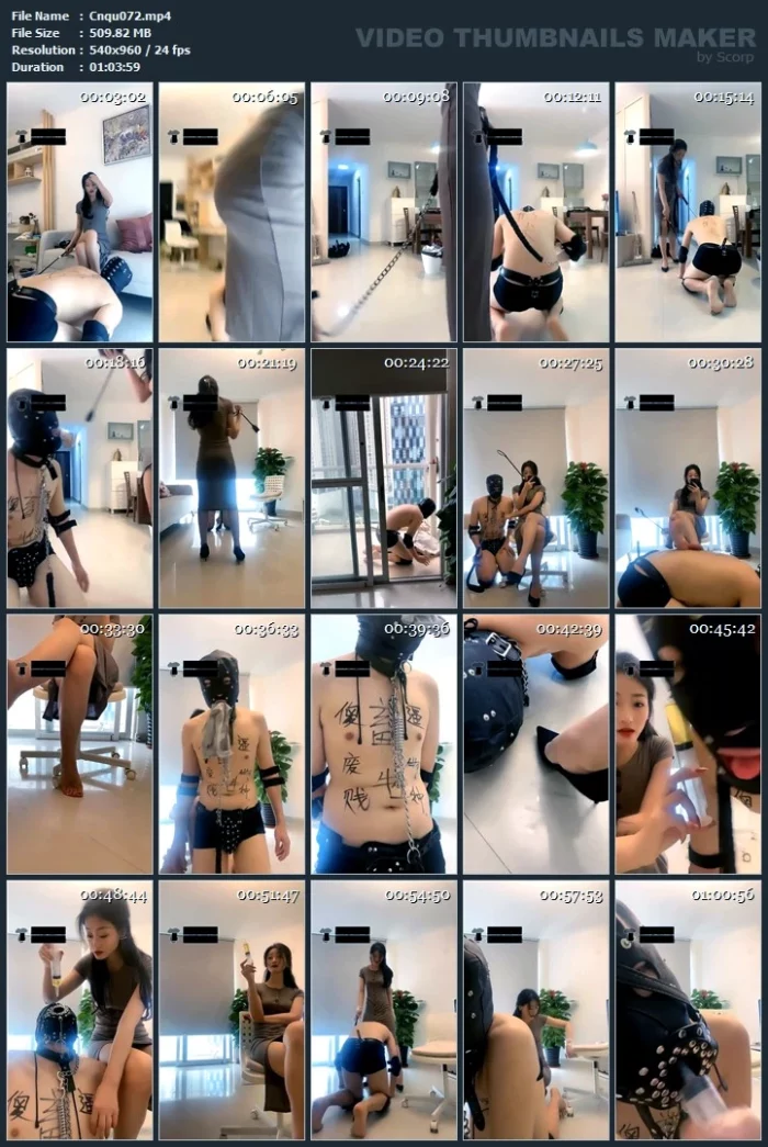 Femdom Dog Training Humiliation - CNQUEENS / CHINESE FEMDOM GODDESS - MP4