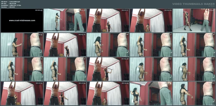 Angry Trainer, Lazy Pig - CRUELAMAZONS - MP4