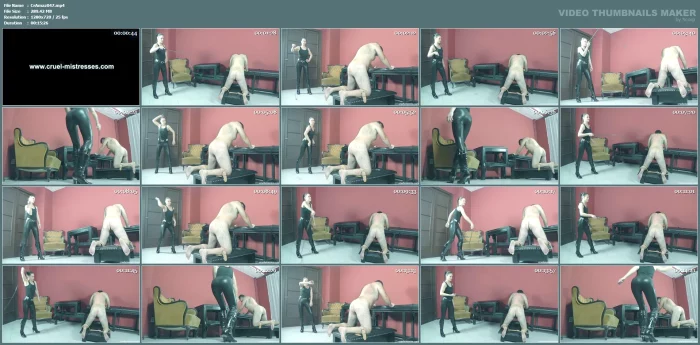 Damned Slave - CRUELAMAZONS - MP4