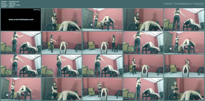 Forbidden Party - CRUELAMAZONS - MP4