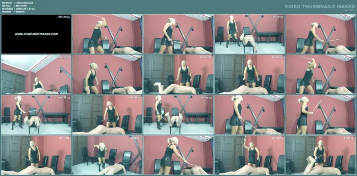 Just Because - CRUELAMAZONS - MP4