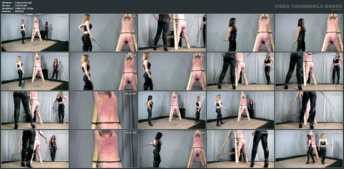 The Internet Incident - CRUELAMAZONS - MP4