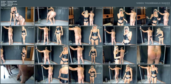 Whips - Whipping on Pig - DEA SAMANTHA - MP4