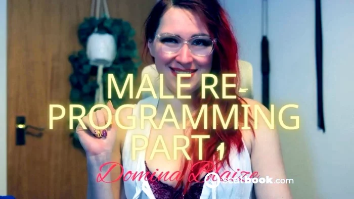 Male're - Programming Part 1 - DOMINA BLAIZE - MP4
