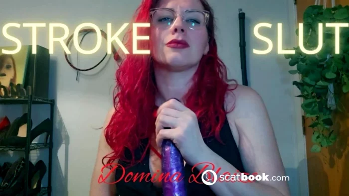 My Stroke Slut - DOMINA BLAIZE - MP4