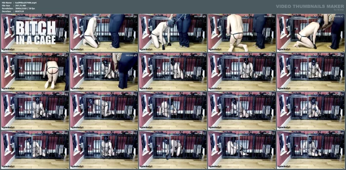 Bitch in a Cage - GODDESS MIKAILA / GDMIKAILA - MP4