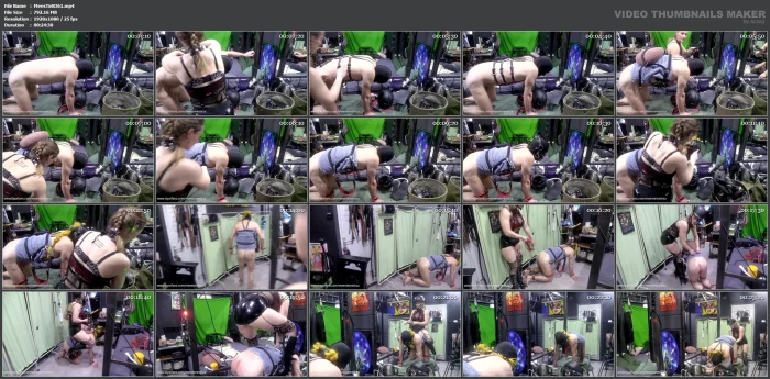 Pony Play Riding Fantasie Ponyboy And Female Domination - MEESTERES TIRZA / KIKI KOETSENRUIJTER / MISTRESS TIRZA - MP4