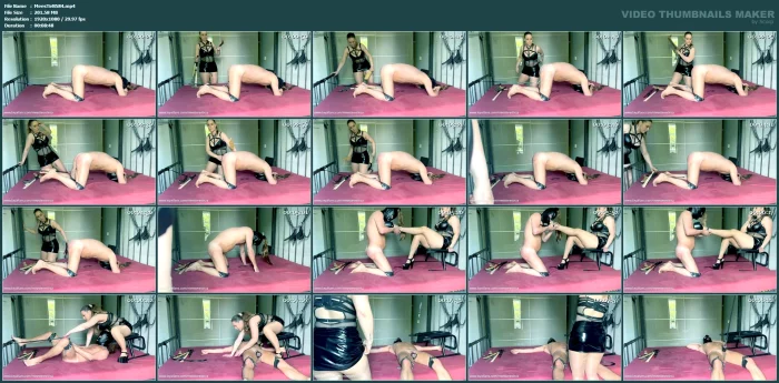 Whipping Ass Slapping Toys Female Domination - MEESTERES TIRZA / KIKI KOETSENRUIJTER / MISTRESS TIRZA - MP4