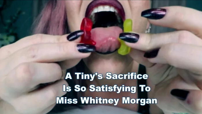 A Tiny's Sacrifice I's So Satisfying To Miss Whitney Morgan - MISS WHITNEY MORGAN - MP4