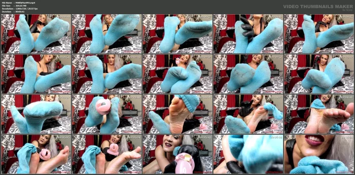 Chastity Slave For Dirty Socks - MISS WHITNEY MORGAN - MP4