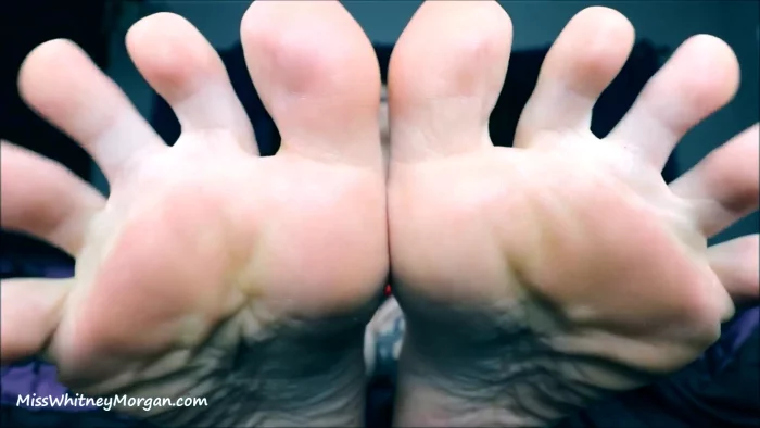 Thankful For Foot Fans - MISS WHITNEY MORGAN - MP4