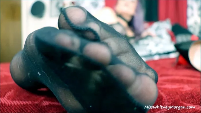 Your Weekly Worship Routine For Miss Whitney Morgan - MISS WHITNEY MORGAN - MP4