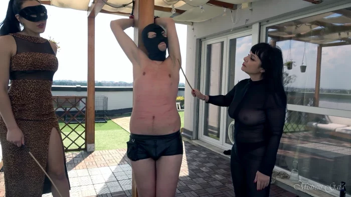Caning Babes - MISTRESS GAIA - MP4
