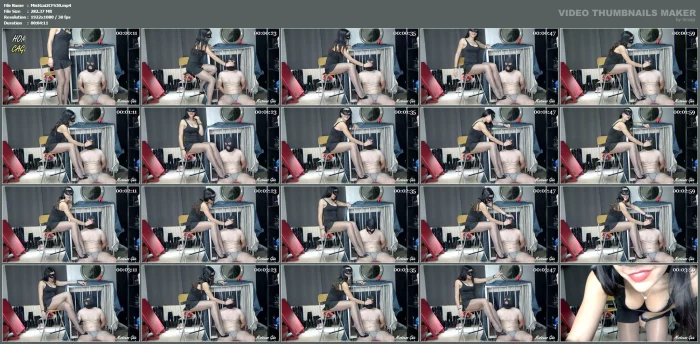 Hom Cage - MISTRESS GAIA - MP4