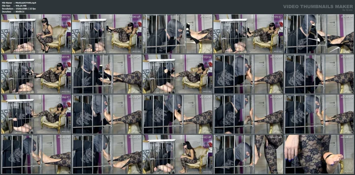 Locked Up To Lick My Feet - MISTRESS GAIA - MP4